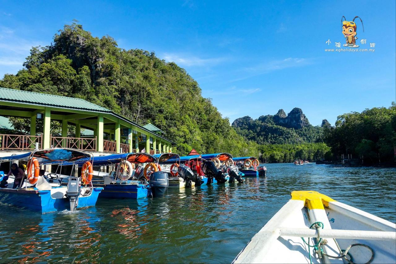 Jelajahi Keindahan Mangrove Langkawi dengan Mangrove Tour yang Menakjubkan